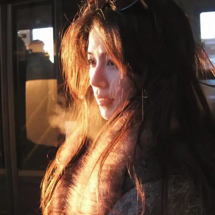 笨蛋·测验·召唤兽 续篇